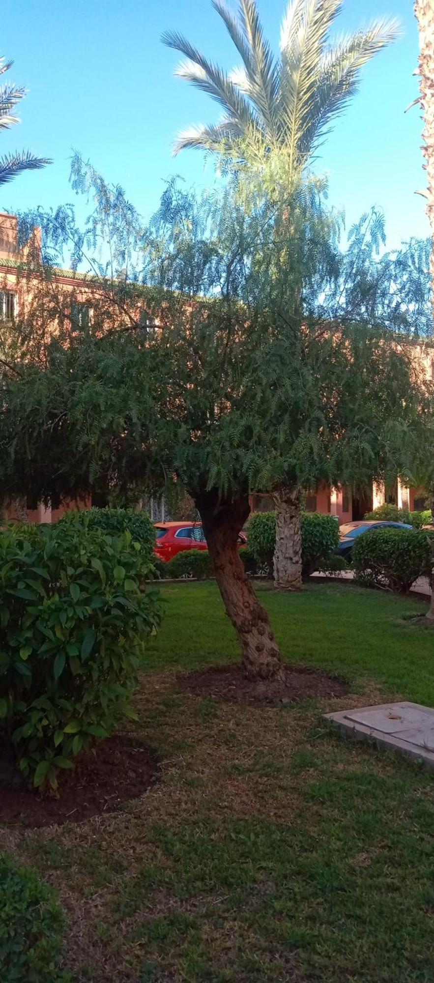 Riad Nour Resorts-Riad Nour Travel Marrakesh Bagian luar foto